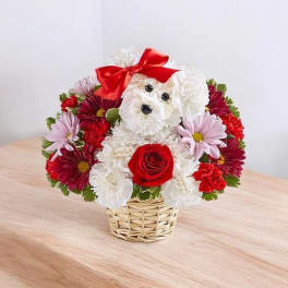 Flower arrangement shaped like a teddy bear with a red bow in a basket