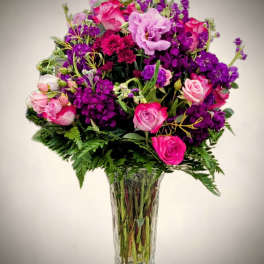 Fuchsia Bliss 