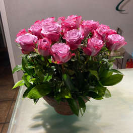 Pink roses arranged in a round vase with glossy greenery