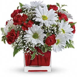 Red carnations and white daisies in a clear square vase