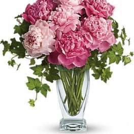 Teleflora's Perfect Peonies