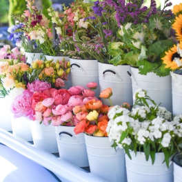 Buckets of colorful cut flowers arranged on a market display