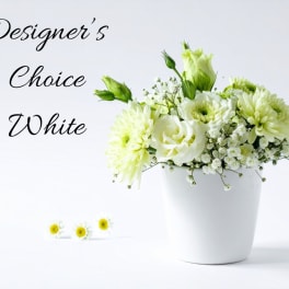 Designer Choice White