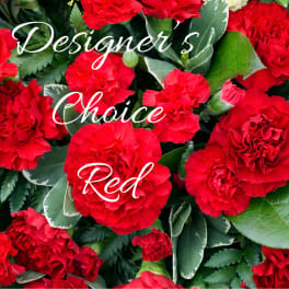 Designer Choice Red