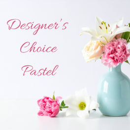 Pastel Designer Choice