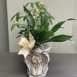 Potted green plant in an angel-shaped decorative container with a ribbon