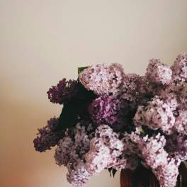 Lilac bouquet in a dark vase