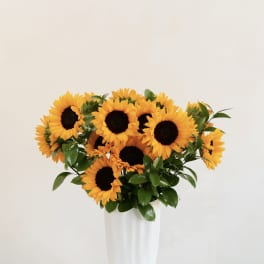 Sunflower arrangement in a tall white vase