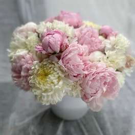 Bouquet of pink and white peonies and chrysanthemums
