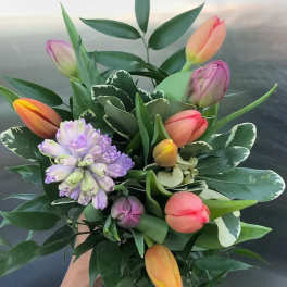 Handheld bouquet of tulips and a purple hyacinth cluster