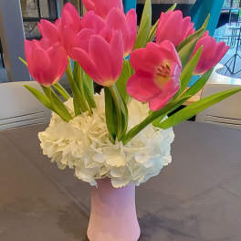 Pink tulips arranged in a pink vase with white flowers at the base