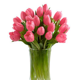 Pink tulips arranged in a clear glass vase