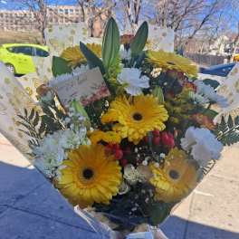 Bouquet of yellow gerbera daisies and white flowers wrapped in patterned paper