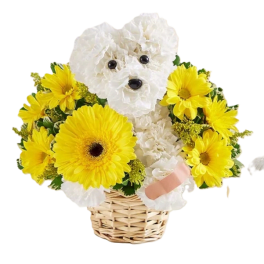 White teddy bear arrangement with yellow daisies in a wicker basket