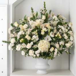 White Dream arrangement