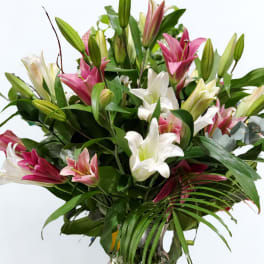 Ooh-La-La Lilies