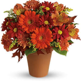 Orange and red daisy bouquet in a brown pot