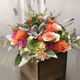 Bright and cheerful 