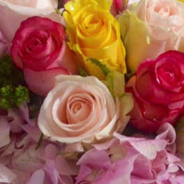 Close-up bouquet of pink, yellow, and white roses with pink petals