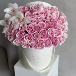 Classic Pink - 50 Roses in a box