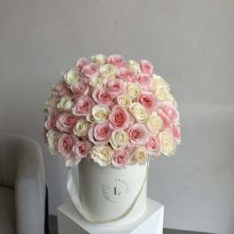 Pink and White 50 Roses