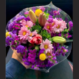 Purple  Rose