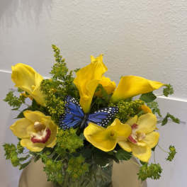 Yellow calla lilies and orchids in a glass vase with a blue butterfly accent
