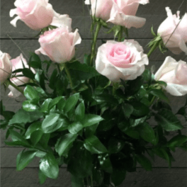 DOZEN PINK ROSES