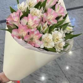 Bouquet of pink and white alstroemeria wrapped in cream paper