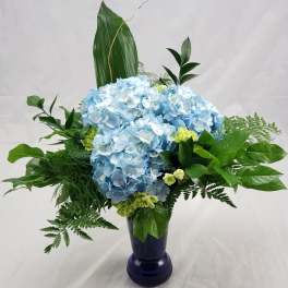 Blue hydrangea arrangement in a dark blue vase with green foliage