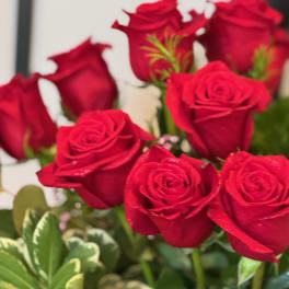 Close-up bouquet of red roses with green foliage