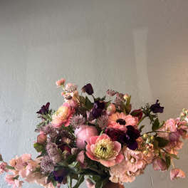 Belle Rosée