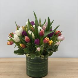 Mixed tulips arranged in a green cylindrical vase