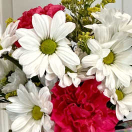 White daisies and bright pink carnations in a bouquet