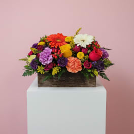 Bright Days Container Mix