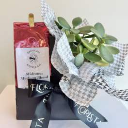 Potted succulent gift set with a coffee bag and ribbon
