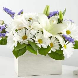 White lilies and daisies in a white box with purple accents