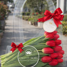 Red tulips in a clear handled gift bag with red bows