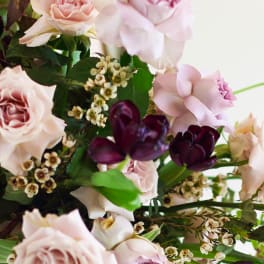 Bouquet of pale pink roses with dark purple tulips and small white filler flowers