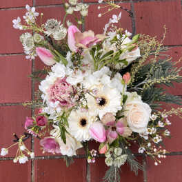 Blush Softy 