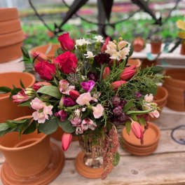 Garden Surprise