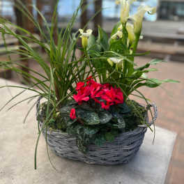 Life is a Flower