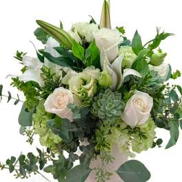 White roses and lilies arranged with green succulents in a vase