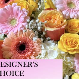 Designer's Choice