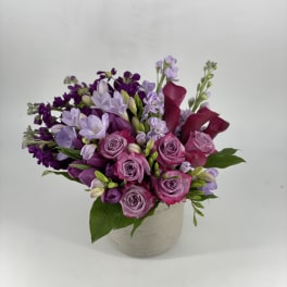 Purple Rain