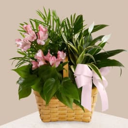 Pink flowers arranged in a woven basket with a pink ribbon
