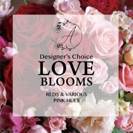 Pink and red roses with a text overlay reading Love Blooms