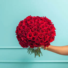 Large bouquet of red roses held against a blue wall