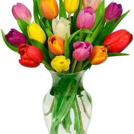 terrific tulips