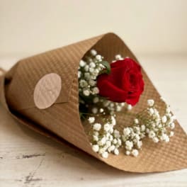 Single red rose wrapped in brown paper with white baby's breath